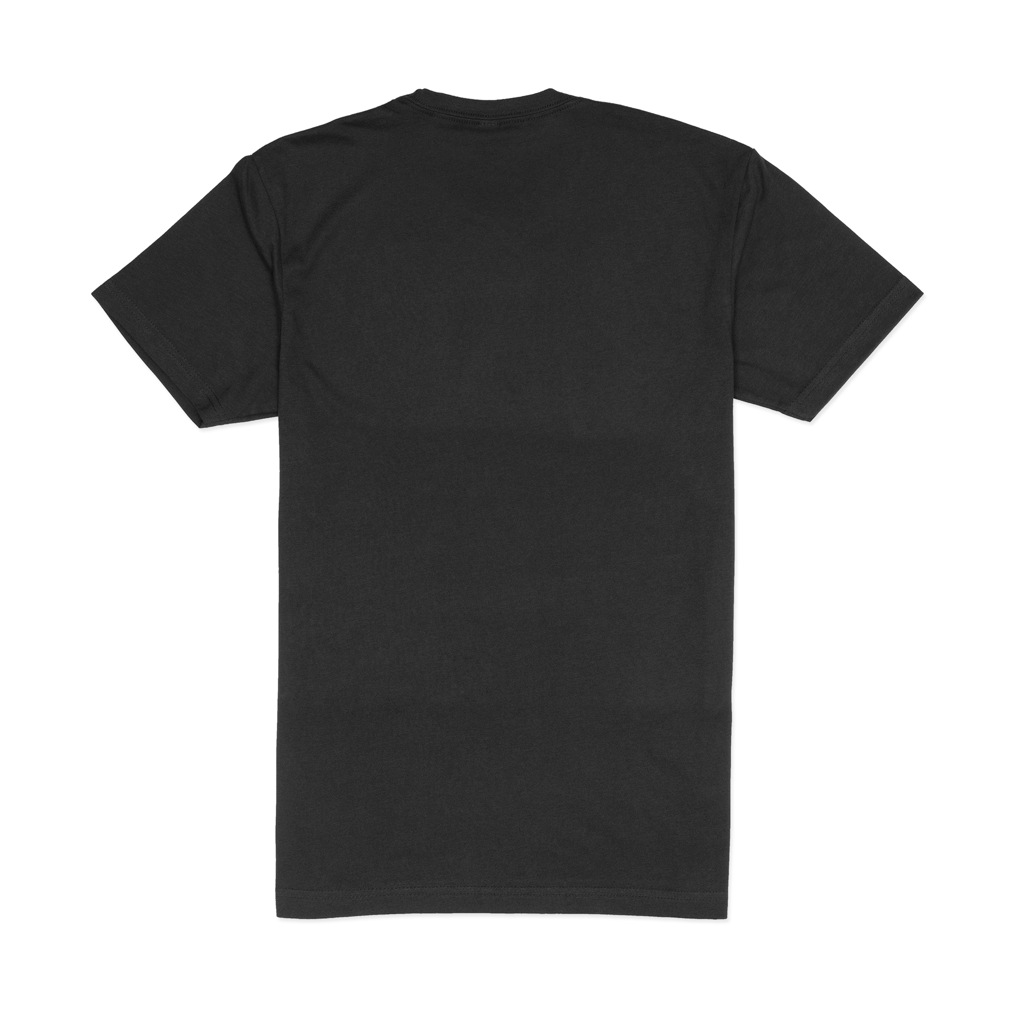 nszkkc38g00pu5e3pgq8ozwl_Back_main